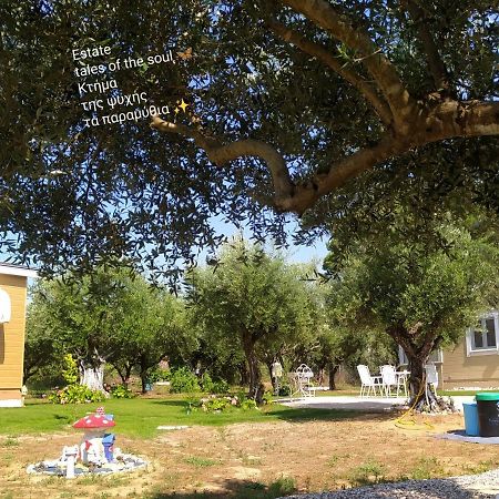 Bungalows With Private Pools "Tales Of The Soul - Της Ψυχής Τα Παραμύθια" Anemochori Buitenkant foto