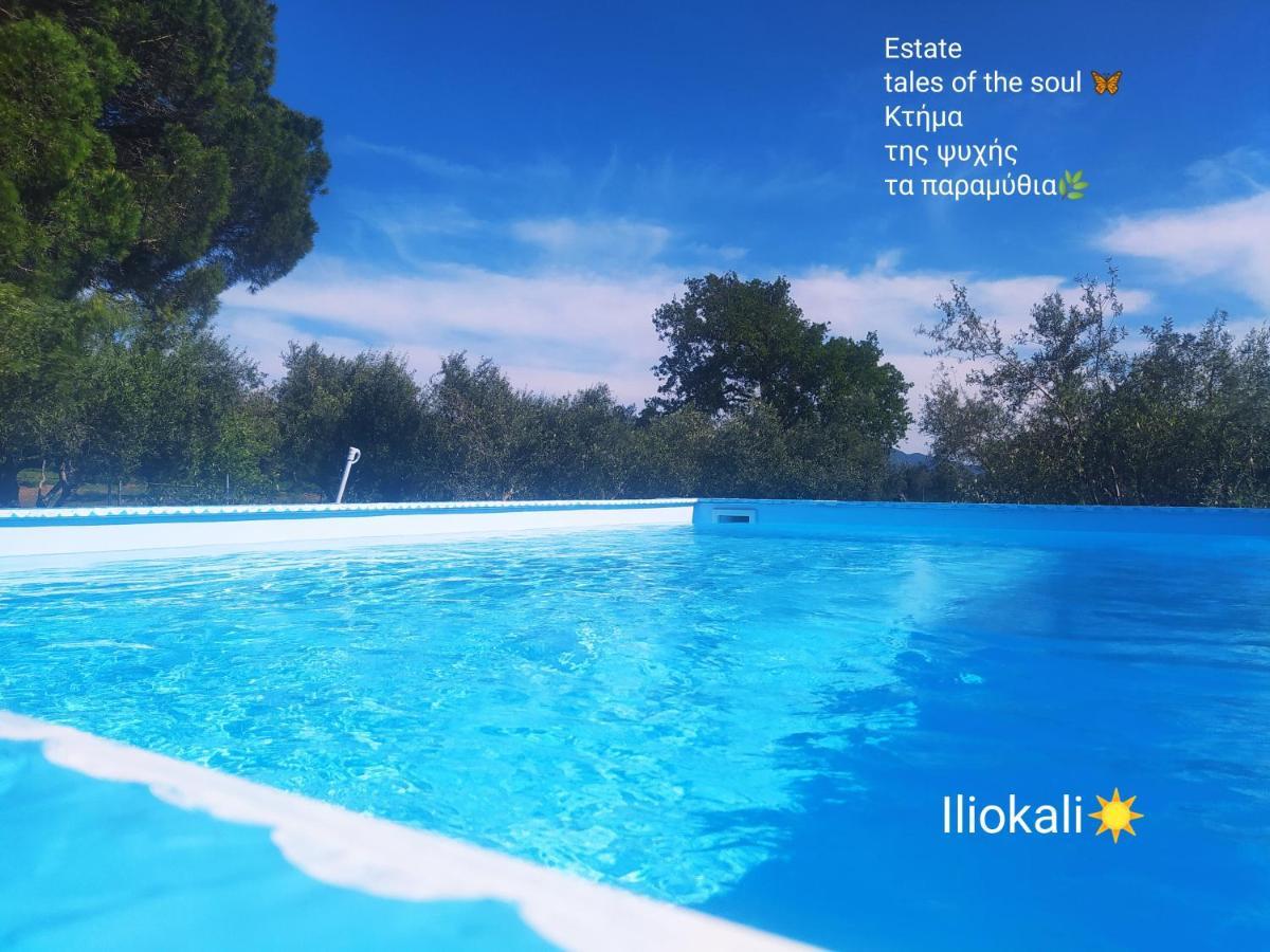Bungalows With Private Pools "Tales Of The Soul - Της Ψυχής Τα Παραμύθια" Anemochori Buitenkant foto
