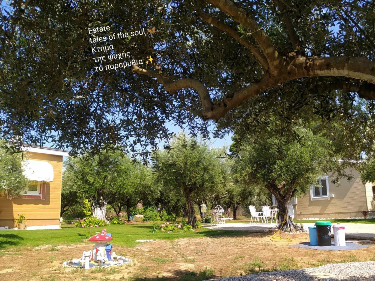 Bungalows With Private Pools "Tales Of The Soul - Της Ψυχής Τα Παραμύθια" Anemochori Buitenkant foto